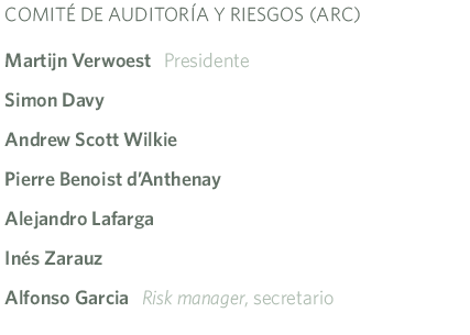 Comite auditoria y riesgos MRG