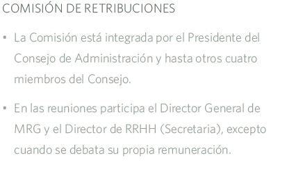Comsion de retribuciones MRG